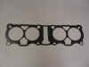 CoolPix Honda Gaskets Roxi 008.jpg (122046 bytes)