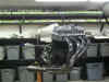 Cycle X High Performance Sidewinder With Megaphone (Motor).JPG (140299 bytes)