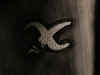 Cycle X Patch.JPG (108902 bytes)