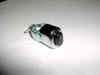HORN STARTER BUTTON.JPG (196127 bytes)