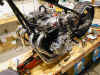 chrome motor browns.JPG (87905 bytes)