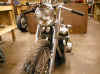 last boxer 1.JPG (89933 bytes)
